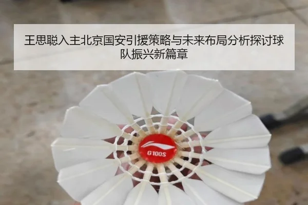 王思聪入主北京国安引援策略与未来布局分析探讨球队振兴新篇章